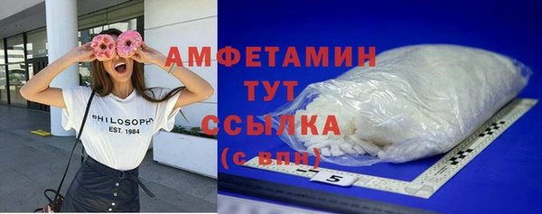 индика Пестово