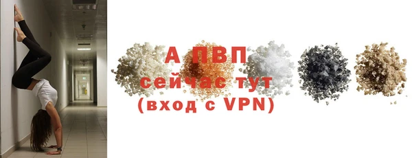 твердый Арсеньев