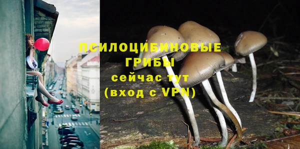 индика Пестово