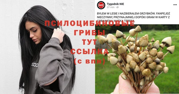 jwh Аркадак